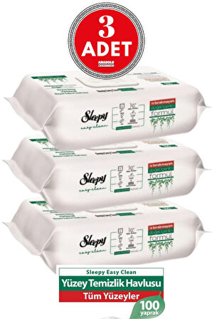 Easy Clean Yüzey Temizlik Havlusu 100' Lü X 3 Adet (300 YAPRAK)