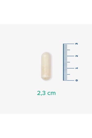 V-PsCog - Lpc-37, Fosfotidilserin ve Sitikolin İçeren Takviye Edici Gıda