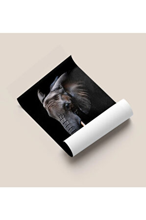 Çerçevesiz Poster - Dijital Baskı - Fil