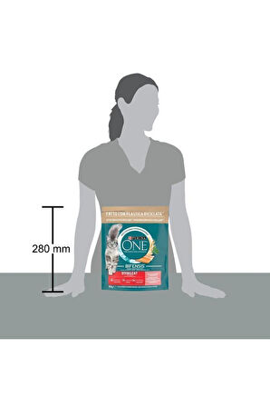 Purina One Somonlu Kısırlaştırılmış Yetişkin Kedi Maması 1.6 Kg (800 GR X 2 ADET)