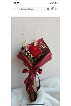 İsteme kayınvalide , baldız çiçeği