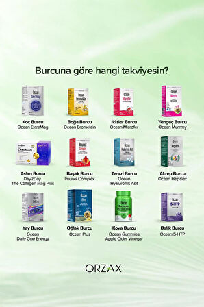 Ocean Bigflor Probiyotik Prebiyotik 10 Saşe