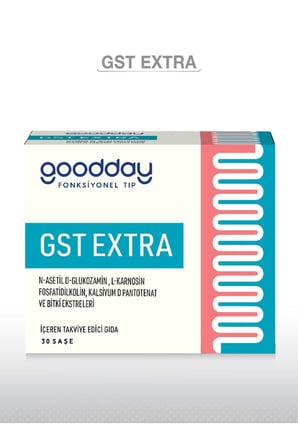 GST EXTRA 30 SAŞE