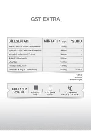 GST EXTRA 30 SAŞE