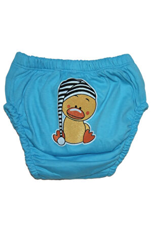 Minik Kuşlar Temalı Erkek Bebek 3'lü Alıştırma Külodu