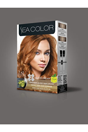 7.43 Yoğun Parlak Bakır Set Boya