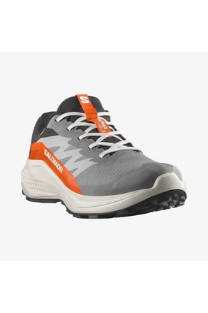 SALOMON ALPHAGLIDE GORE-TEX CASRLEROCK LUNAR ROCK ERKEK KOŞU/SPOR AYAKKABISI