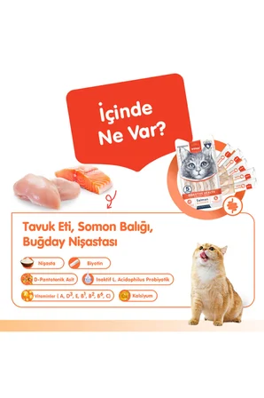 Sindirim Sağlığı Düzenleyici Kedi Ödül Maması Somon & Tavuk Probiyotikli Kedi Ödül Kreması 5x14gr