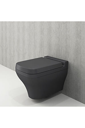 Scala Asma Klozet Mat Antrasit Kapak Hariç 1080-020-0128