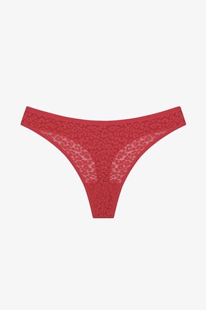 Lace Dantel 3lü Çok Renkli Tanga Külot
