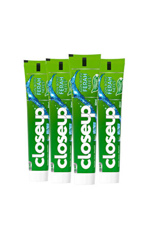 Diş Macunu Menthol Fresh Ağız Bakım Suyu Etkili 50 ml X4 Adet