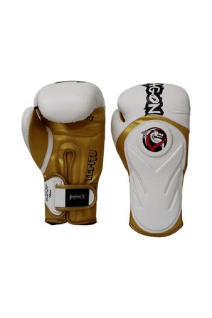 Tepito Muay Thai- Kick Boks, Bok Eldiveni dragon