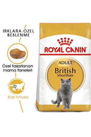 British Shorthair Adult Kedi Kuru Maması 2 Kg