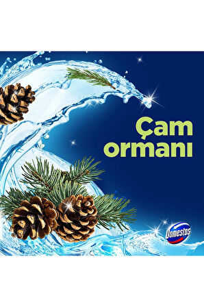 Domestos Wc Blok 5'li Güç Çam Ferahlığı Maksimum Hijyen 100 G X3