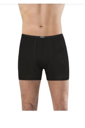 3'lü Anıt Erkek Bambu Boxer