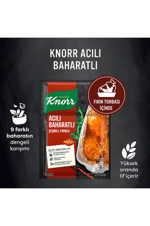 Knorr Acılı & Baharatlı Tavuk Çeşnisi 31 gr X 4 Adet