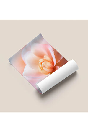 Çerçevesiz Poster, Dijital Baskı, Pembe Çiçek, Klasik ,Modern , Soyut , Minimalist Poster