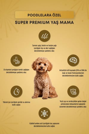 Reflex Plus Poodle Yetişkin Köpek Pouch Mama 85gr x 12 Adet