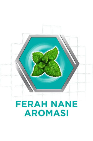 Yapıstırıcı Krem 40gr