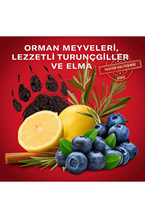 Bearglove 3In1 Erkek Duş Jeli ve Şampuan 1000 ml XXL