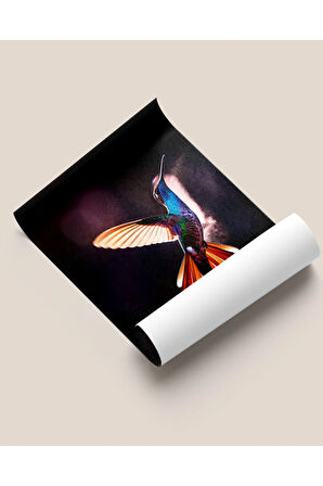 Çerçevesiz Poster Sinek Kuşu "leo"