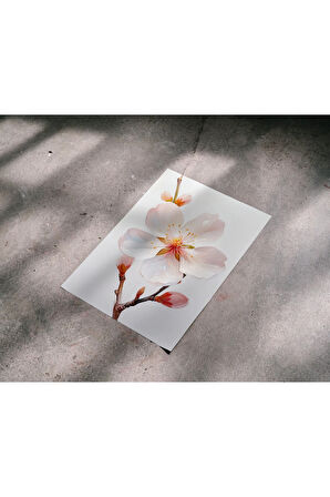 Çerçevesiz Poster Badem Çiçeği Kırmızı Tomurcuklu