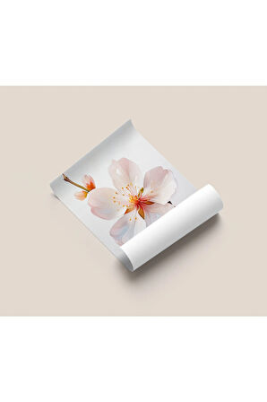 Çerçevesiz Poster Badem Çiçeği Kırmızı Tomurcuklu