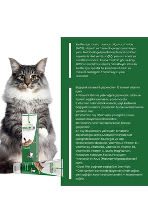 Multivital Cat Taurinli Kedi Vitamini 100 Gr 1 Adet 13 Farklı Vitaminli Malt Macun