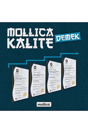 MOLLİCA PANKO EKMEK KIRINTISI 1 KG