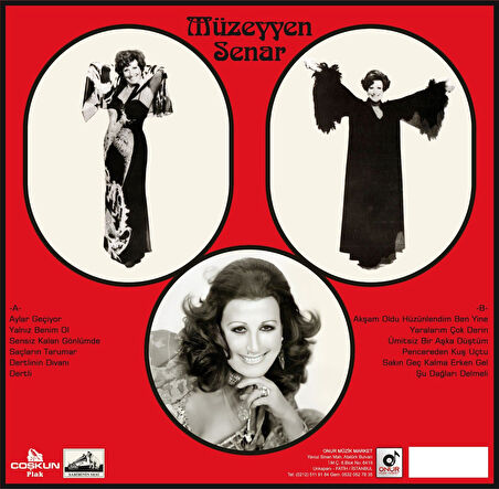 Müzeyyen Senar Akşam Oldu Hüzünlendim Ben Yine - Plak