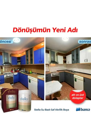 Stella Boya Yeni Nesil Yaşam Boyası 1 Lt Verde/1040 Dolap Fayans Cam Plastik Ahşap Boyası