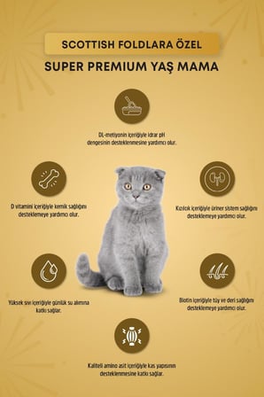 Reflex Plus Scottish Fold Yetişkin Kedi Pouch Mama 85gr x 24 Adet