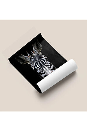 Çerçevesiz Poster - Dijital Baskı - Zebra