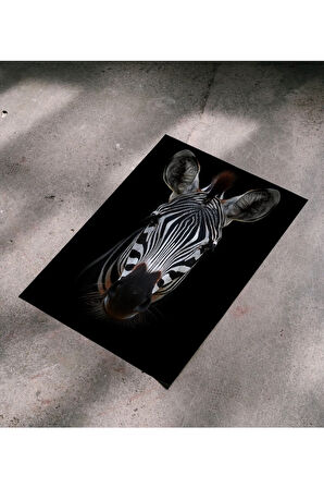 Çerçevesiz Poster - Dijital Baskı - Zebra