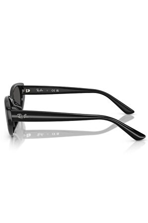 Rayban Güneş Gözlüğü 0RB4457D 6677/87 55