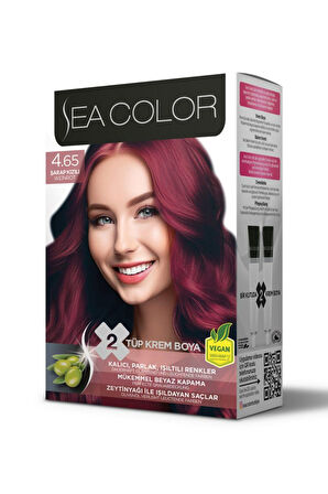 4.65 Şarap Kızılı Set Boya