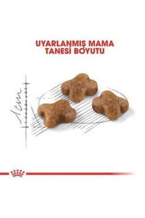 Royal Canin Kitten 400 gr Yavru Kedi Mamasi