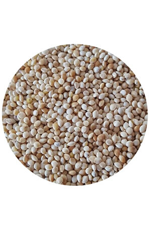 Sade Akdarı Kuş Yemi 3 Kg