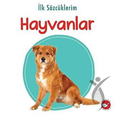İlk Sözcüklerim Hayvanlar 