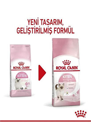 Kitten Bağışıklık Güçlendirici Yavru Kedi Maması 2 Kg