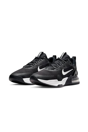 Erkek Antrenman Ayakkabısı DM0829-001 M Air Max Alpha Trainer 5