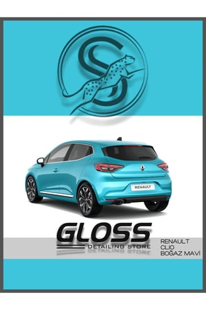 Renault Clio Boğaz Mavisi Rqt - Profesyonel Çizik Ve Taş Izi Giderici Rötuş Boyası 30ml.