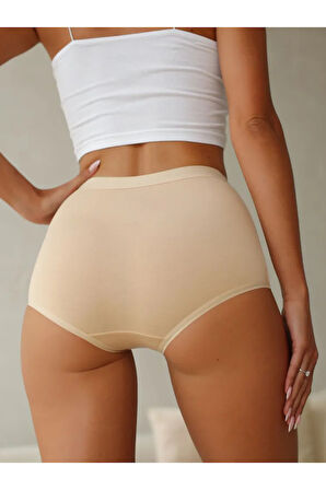 Berrak 3 Lü Paket Yüksek Bel Toparlayıcı Külot 11656