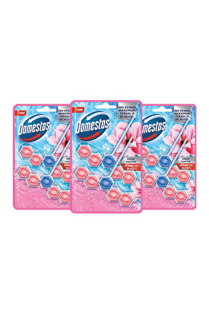 Domestos Tuvalet Bloğu Manolya Buketi 3 x 100 G