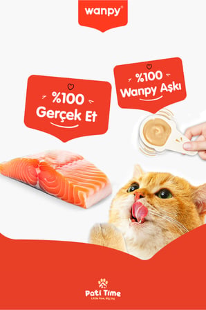 2li Set - Somonlu & Tavuklu Tahılsız Kaşıklı Kedi Ödül Kreması Kedi Ödülü 20 x 16gr