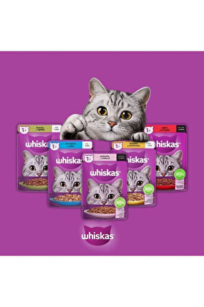 Whiskas Sığır 5 Adet Tavuk 5 Adet Somon 5 Adet Ton Balıklı 5 Adet Kuzulu 4 Adet Karışık Yaş Kedi Ma