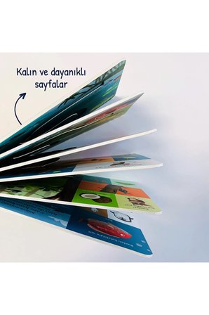 Bir Yola Çık-Hayvanlar | Okul Öncesi Kitap – Sincap Kitap