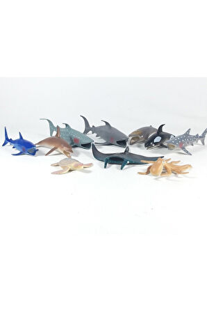 Oyuncak 10 Parça Deniz Hayvanları Figür Kutulu 10 Parça Deniz Hayvanları Set Scntoys