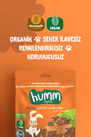 Organik Glutensiz Vegan Havuçlu ve Tarçınlı Kek Atıştırmalık Paketi - 6 adet