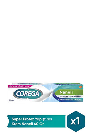 Diş Protezi Yapıştırıcı Krem Naneli 40 gr X3 Adet